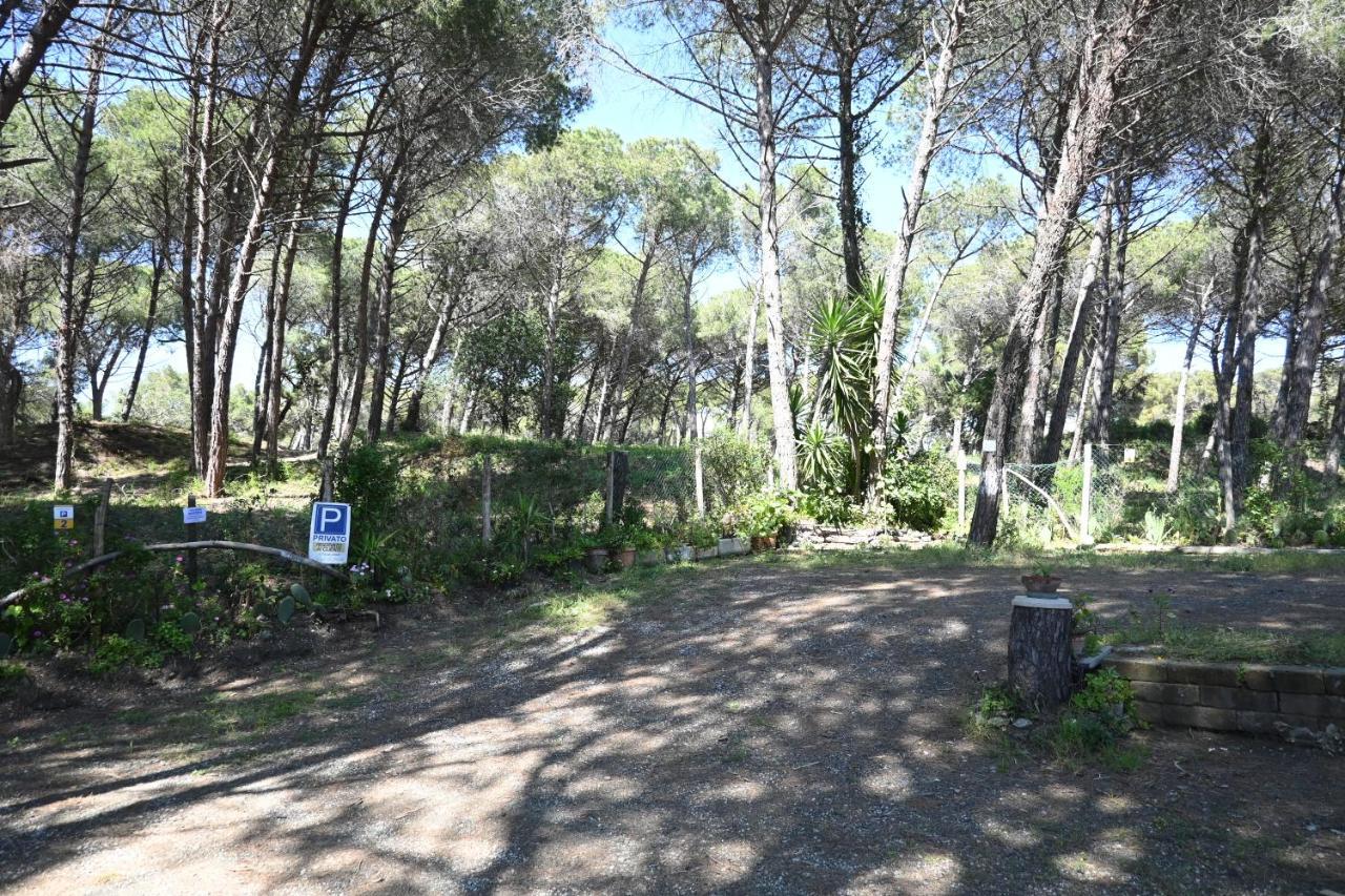 Affittacamere I Gigli Di Mare Marina Di Bibbona Exterior foto